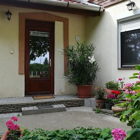 Vargapartman Segedín Exteriér fotografie