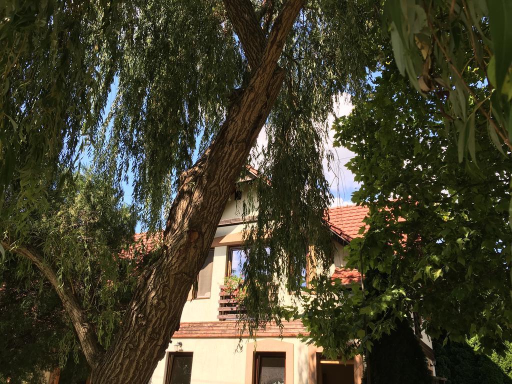 Vargapartman Segedín Exteriér fotografie